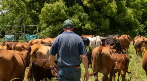 On-Farm Consultation