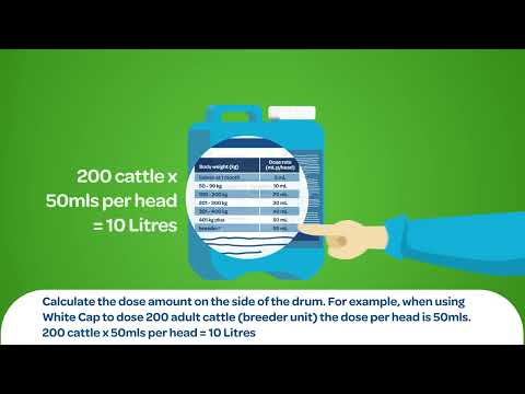 Video by Beachport Liquid Minerals